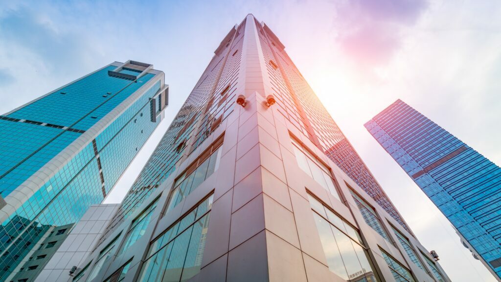 Management Consultancy Rise